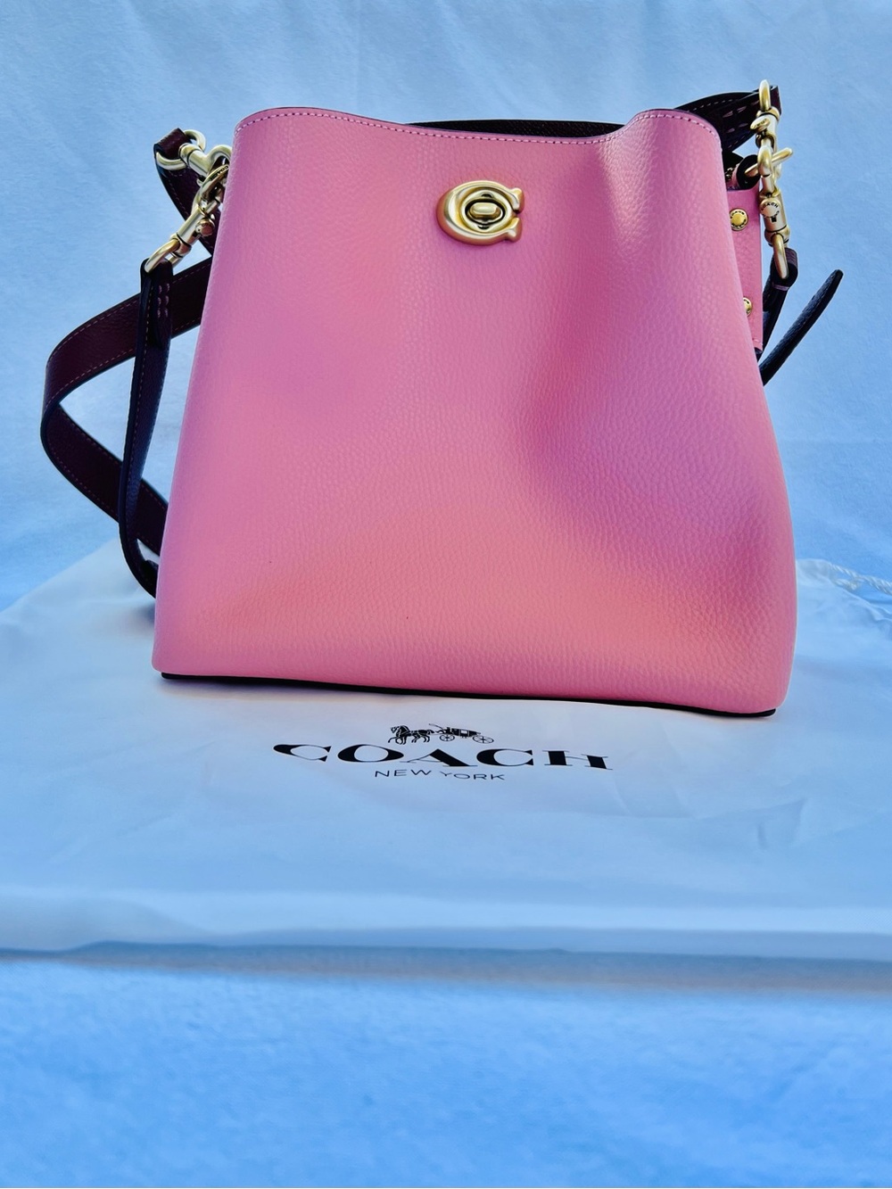 Coach Willow Bucket Bag in Bubblegum Color